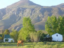 Greyton